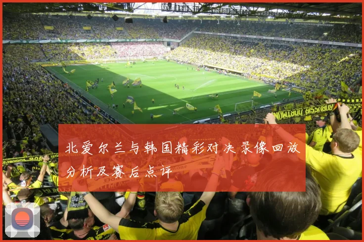 北爱尔兰与韩国精彩对决录像回放分析及赛后点评